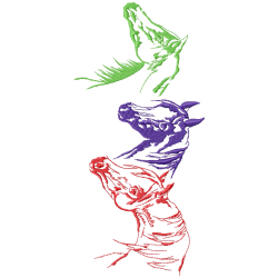 Horses Embroidery Design 8